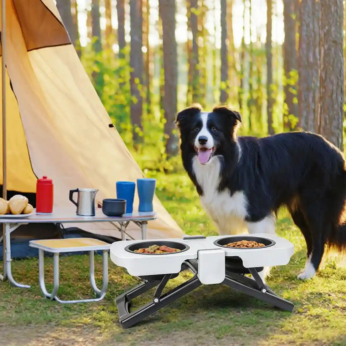 Foldable Elevated Double Pet Bowl