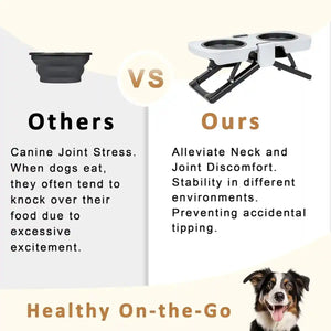Foldable Elevated Double Pet Bowl