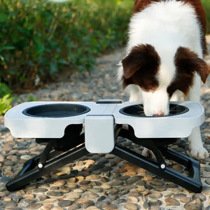 Foldable Elevated Double Pet Bowl