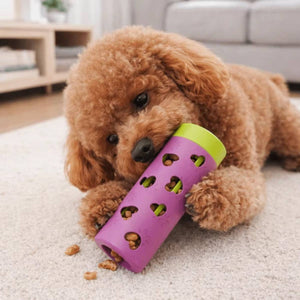 Interactive Dog Treat Dispenser Toy Slow Feeder