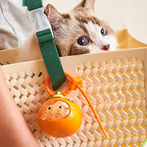 Pet Hair Storage Ball Set (4PCS)