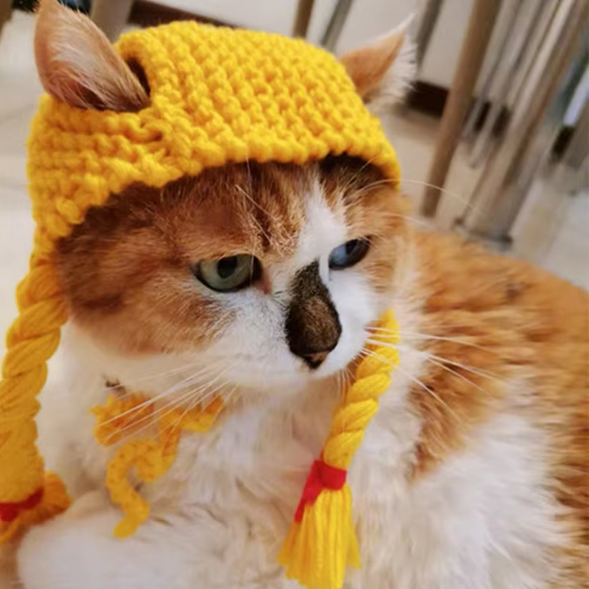 Braided Cat Hat Handmade Knitted Pet Wig