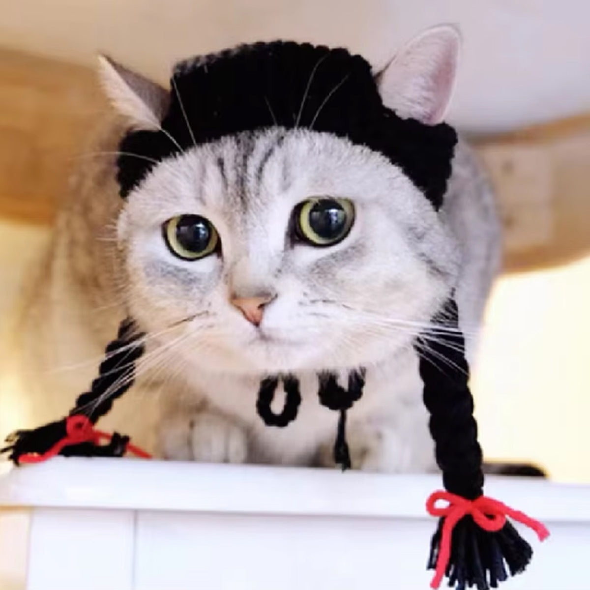 Braided Cat Hat Handmade Knitted Pet Wig
