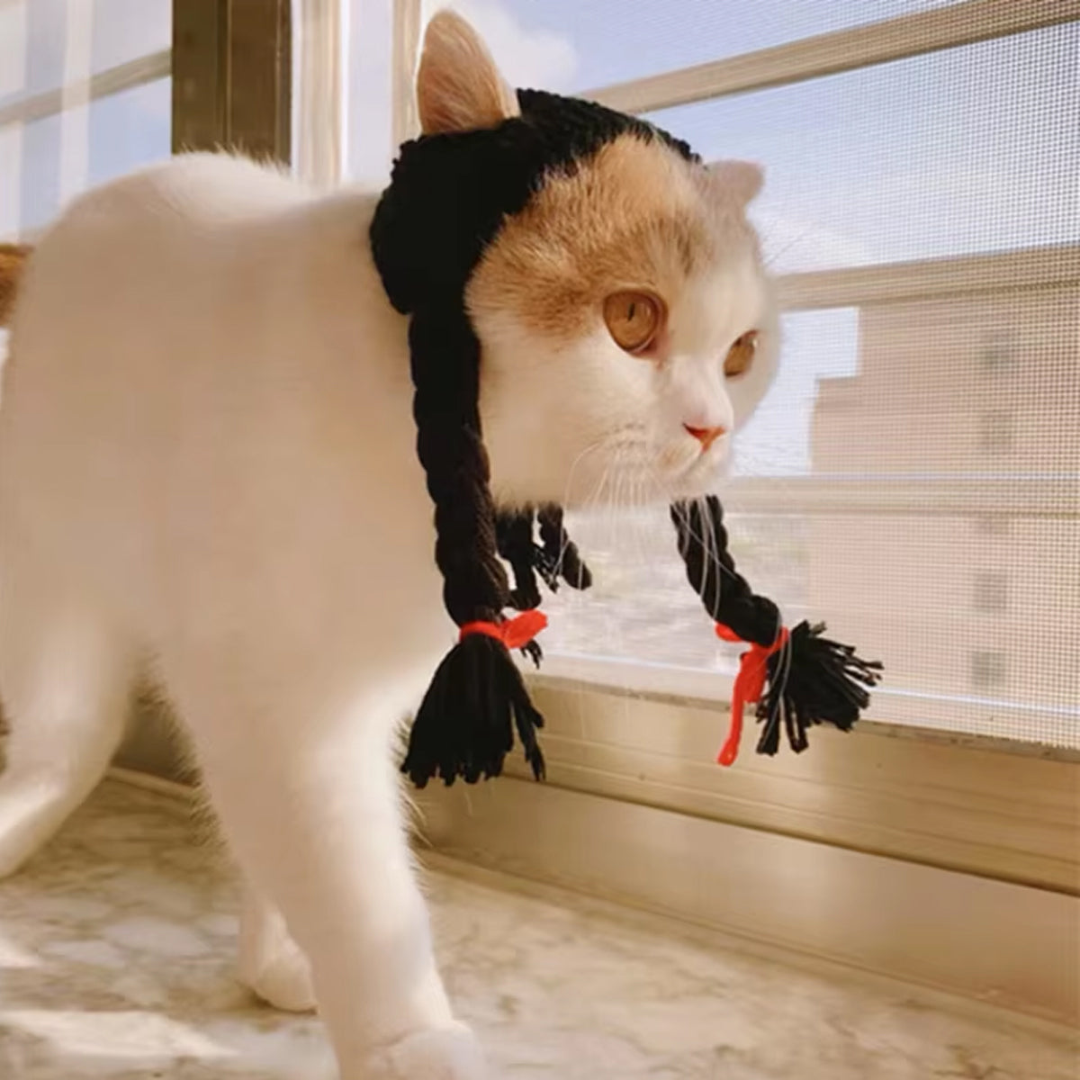 Braided Cat Hat Handmade Knitted Pet Wig