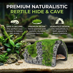 Reptile Hide Cave with Moss | Rock Shelter for Terrariums & Aquariums