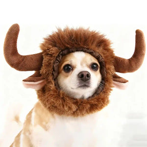 Buffalo Horn Pet Costume Hat
