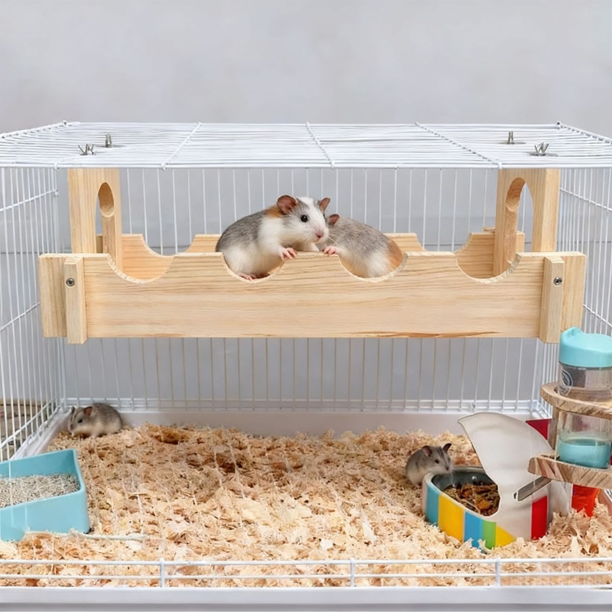 Wooden Hamster Hanging Bridge Set with 3 Play Platforms