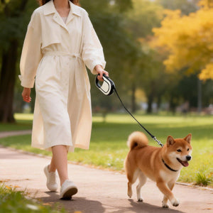 5m Retractable Dog Lead With Lock Control