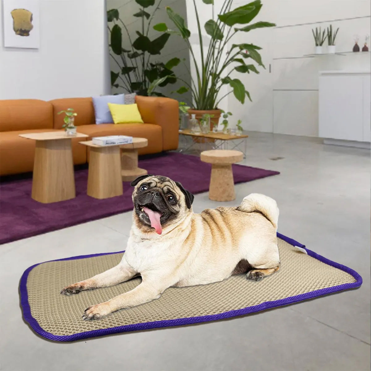 Waterproof Foldable Pet Picnic Mat Portable Dog Travel Blanket