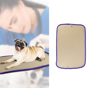 Waterproof Foldable Pet Picnic Mat Portable Dog Travel Blanket