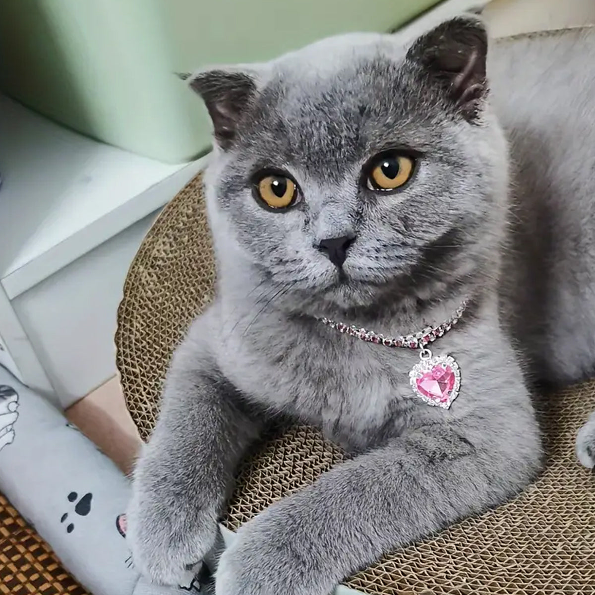 Rhinestone Pet Collar Set With Heart Pendant
