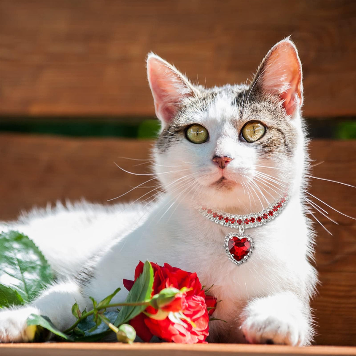 Rhinestone Pet Collar Set With Heart Pendant