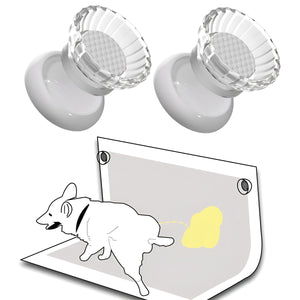 2PCS Pet Toilet Pad Holder Simple and Convenient Non Slip for Puppy Indoor Use