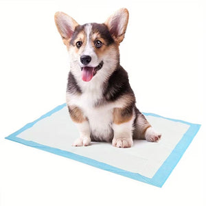 50 Pcs 90cm Pet Pee Pads with Absorbent Layers