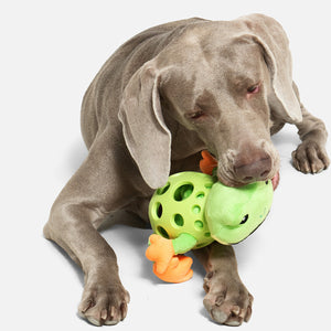 Plush Dog Toy Squeaky Frog Chew Toy