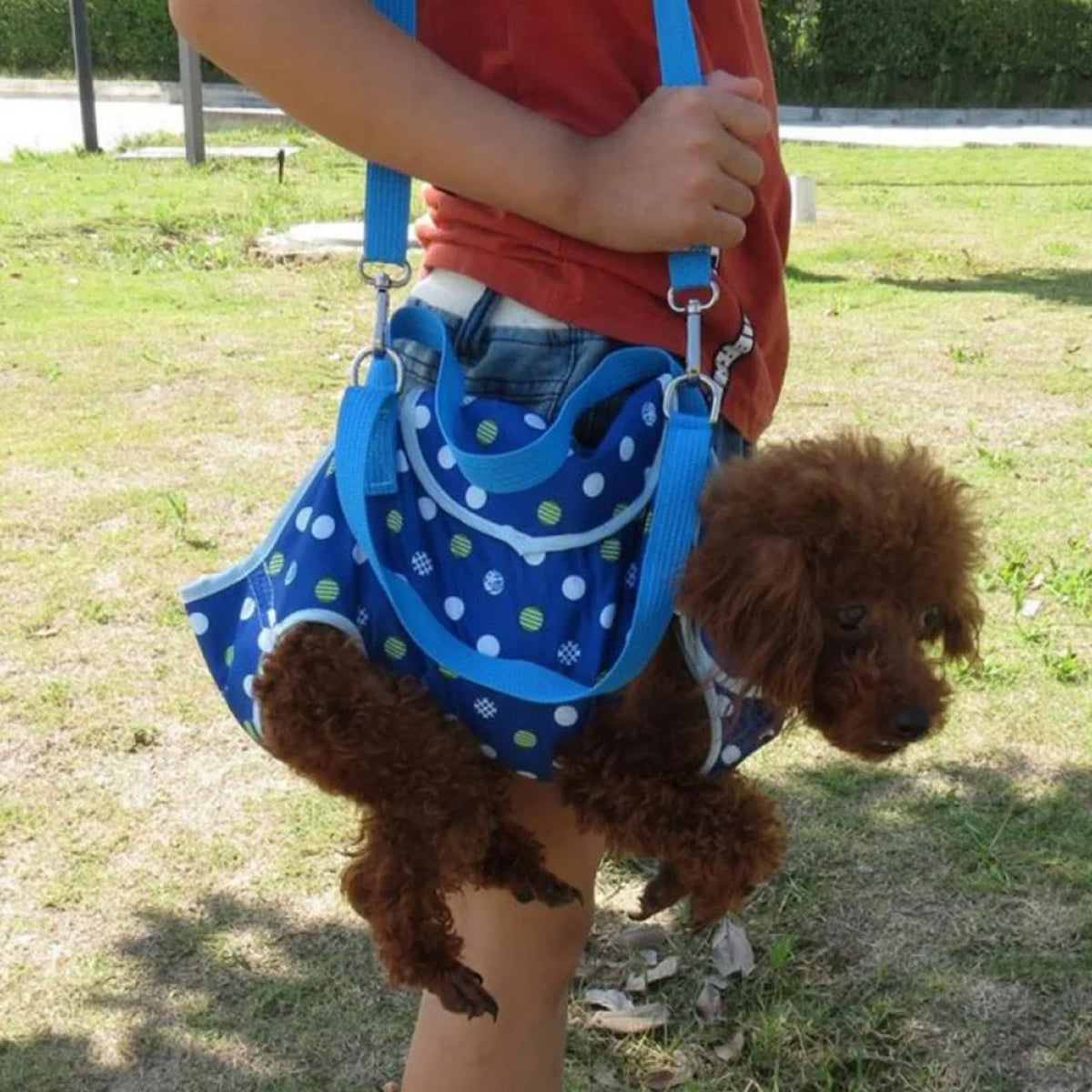 Portable Pet Travel Carrier Backpack for Small Dogs and Cats with Breathable Mesh