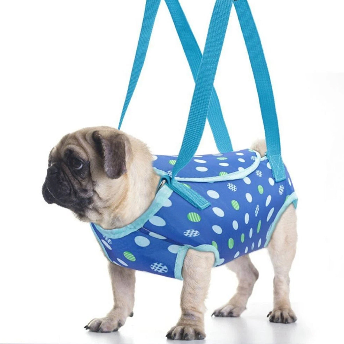Portable Pet Travel Carrier Backpack for Small Dogs and Cats with Breathable Mesh