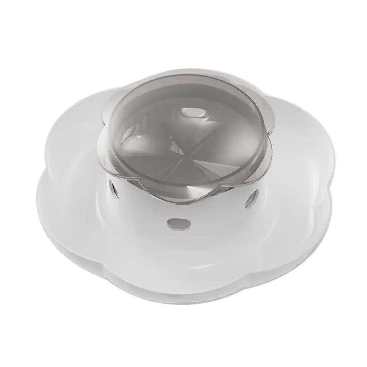 Interactive Pet Food Dispenser for Slow Feeding and Intelligence Training