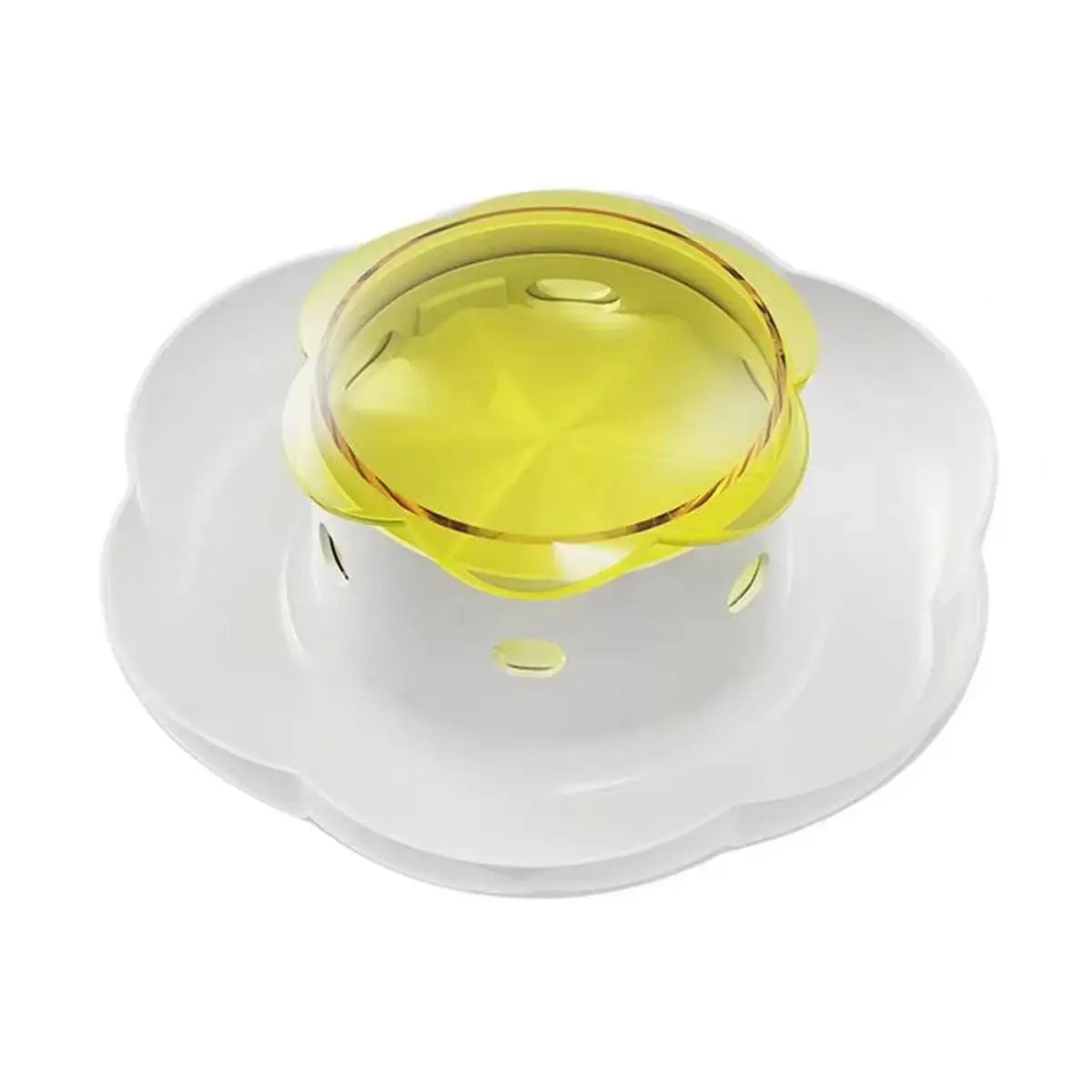 Interactive Pet Food Dispenser for Slow Feeding and Intelligence Training