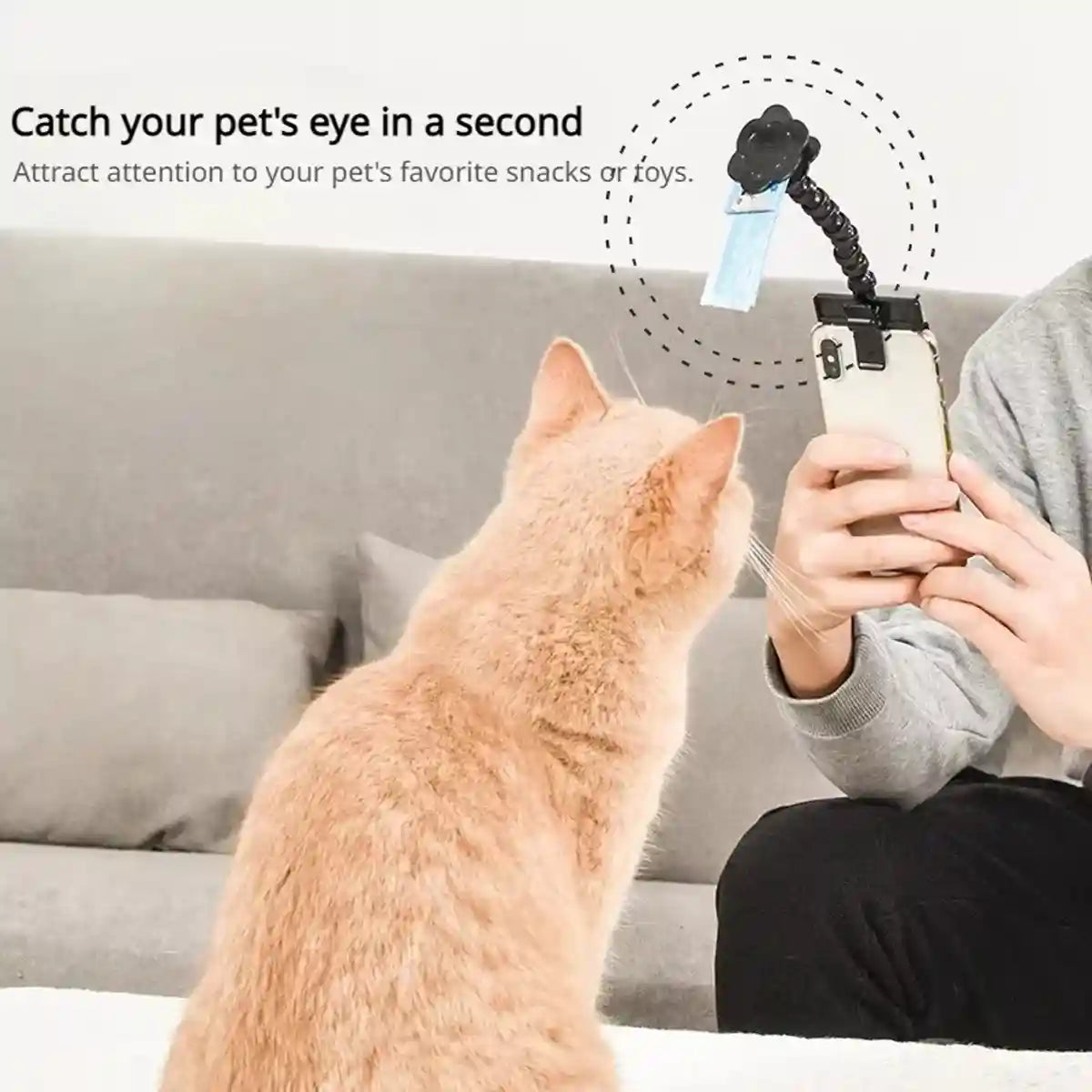 Pet Selfie Stick Smartphone Clip For Perfect Pet Photos