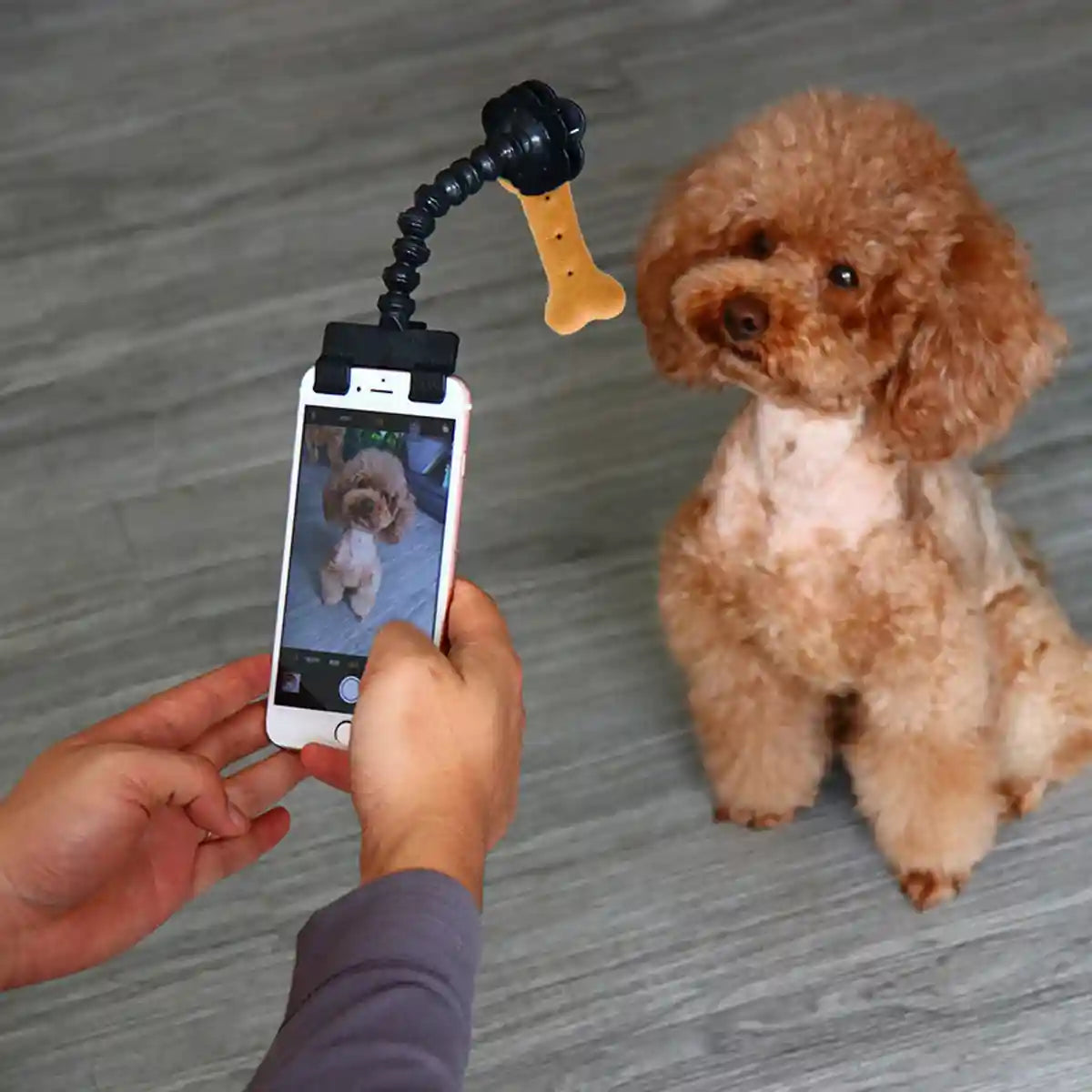 Pet Selfie Stick Smartphone Clip For Perfect Pet Photos