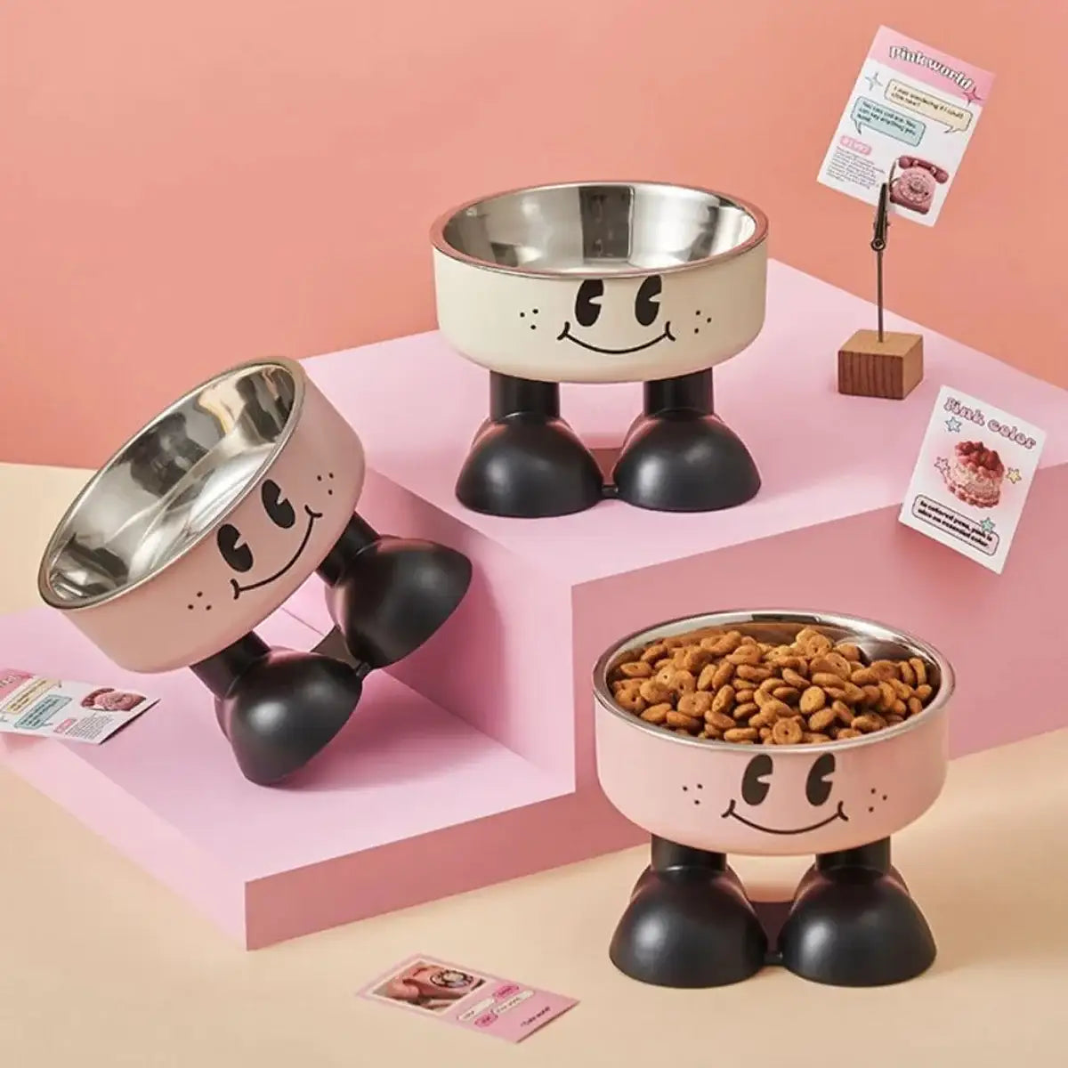 Non-Slip Stainless Steel Pet Bowl with Elevated Base