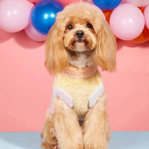 Gradient Pet Sweater Soft Knit For Dogs And Cats