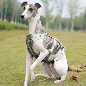 Reflective Tactical Dog Harness Set With Leash And Handle