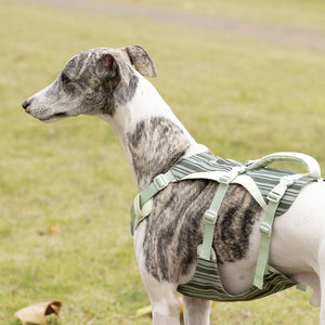 Reflective Tactical Dog Harness Set With Leash And Handle