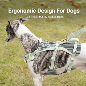 Reflective Tactical Dog Harness Set With Leash And Handle