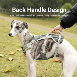 Reflective Tactical Dog Harness Set With Leash And Handle