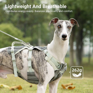 Reflective Tactical Dog Harness Set With Leash And Handle