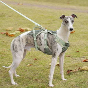Reflective Tactical Dog Harness Set With Leash And Handle