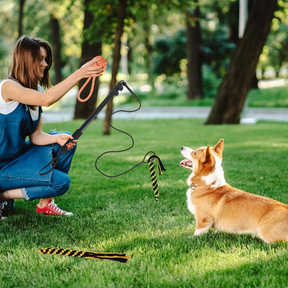 Telescopic Dog Teaser Stick with Chew Toys for Large Breed Training