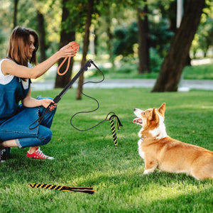 Telescopic Dog Teaser Stick with Chew Toys for Large Breed Training