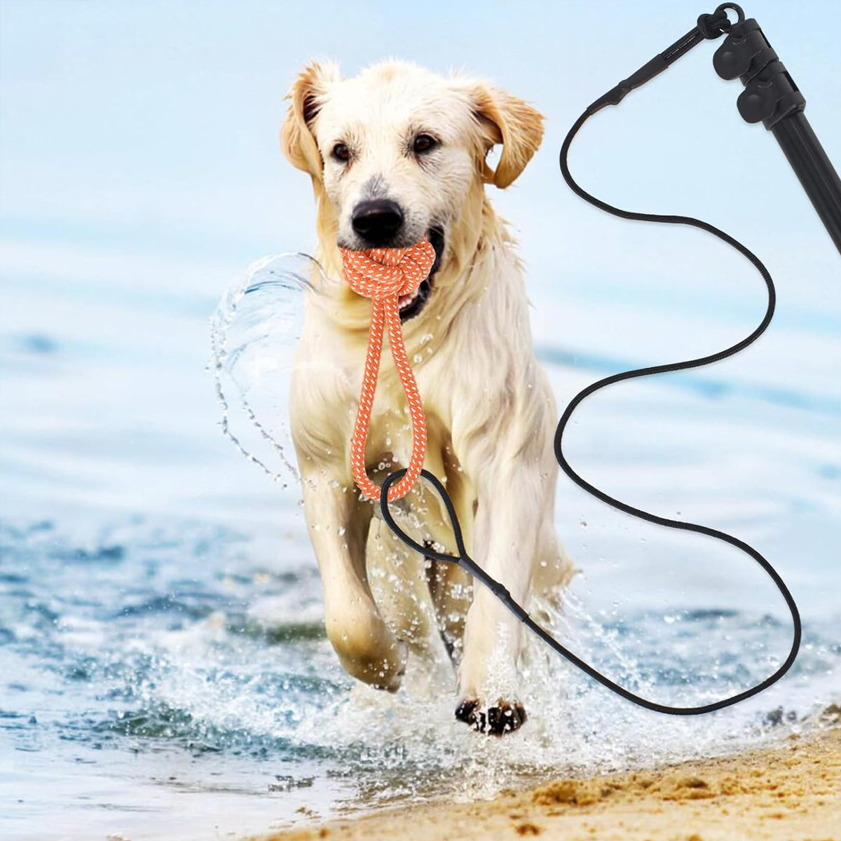 Telescopic Dog Teaser Stick with Chew Toys for Large Breed Training