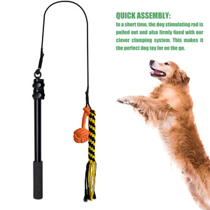 Telescopic Dog Teaser Stick with Chew Toys for Large Breed Training