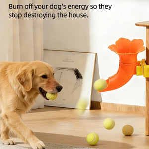 Self-Service Dog Ball Launcher, Adjustable Tennis Ball Thrower