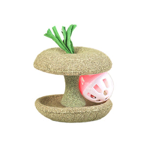 Apple Core Catnip Ball Toy for Interactive Play & Dental Health