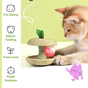 Apple Core Catnip Ball Toy for Interactive Play & Dental Health
