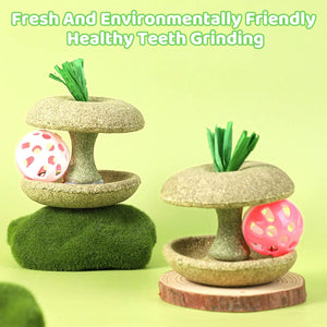 Apple Core Catnip Ball Toy for Interactive Play & Dental Health