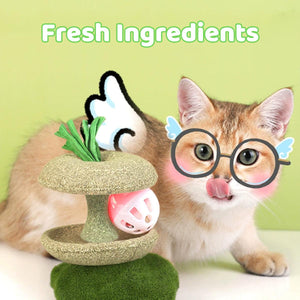 Apple Core Catnip Ball Toy for Interactive Play & Dental Health
