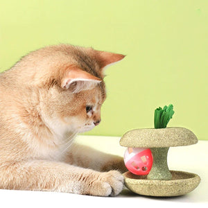 Apple Core Catnip Ball Toy for Interactive Play & Dental Health