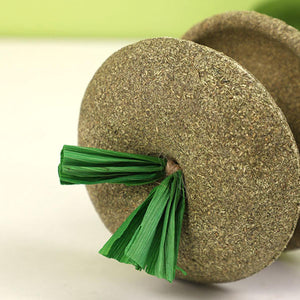 Apple Core Catnip Ball Toy for Interactive Play & Dental Health