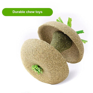 Apple Core Catnip Ball Toy for Interactive Play & Dental Health