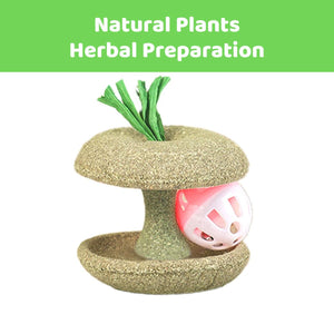 Apple Core Catnip Ball Toy for Interactive Play & Dental Health