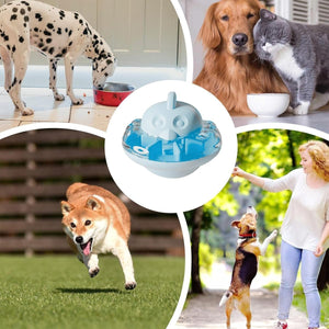 Interactive Cat Slow Feeder Toy, Treat Dispenser Tumbler