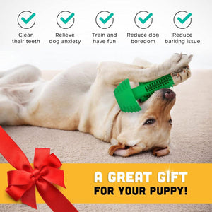 Cactus Shape Dog Chew Toy for Teeth Cleaning and Anxiety Relief