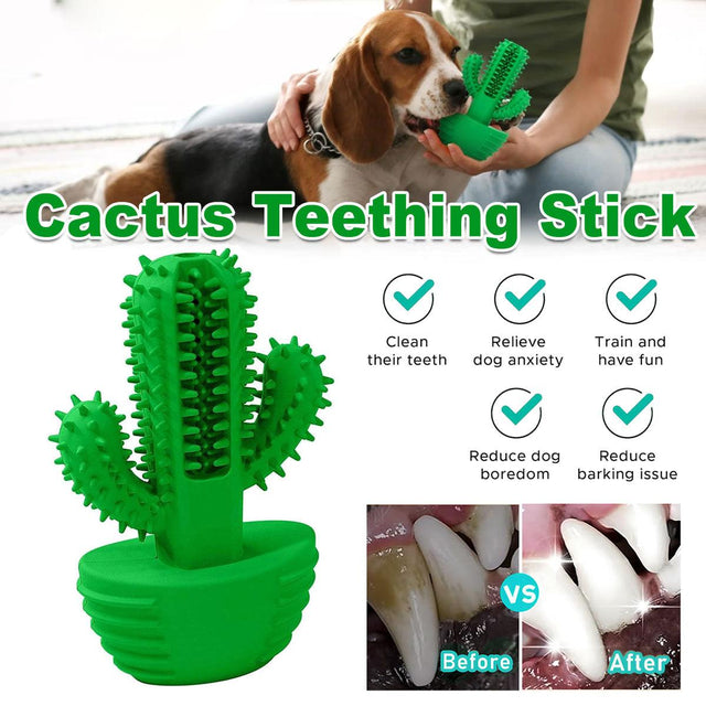 Green cactus-shaped dog chew toy made of natural rubber, ideal for dental care and anxiety relief.
