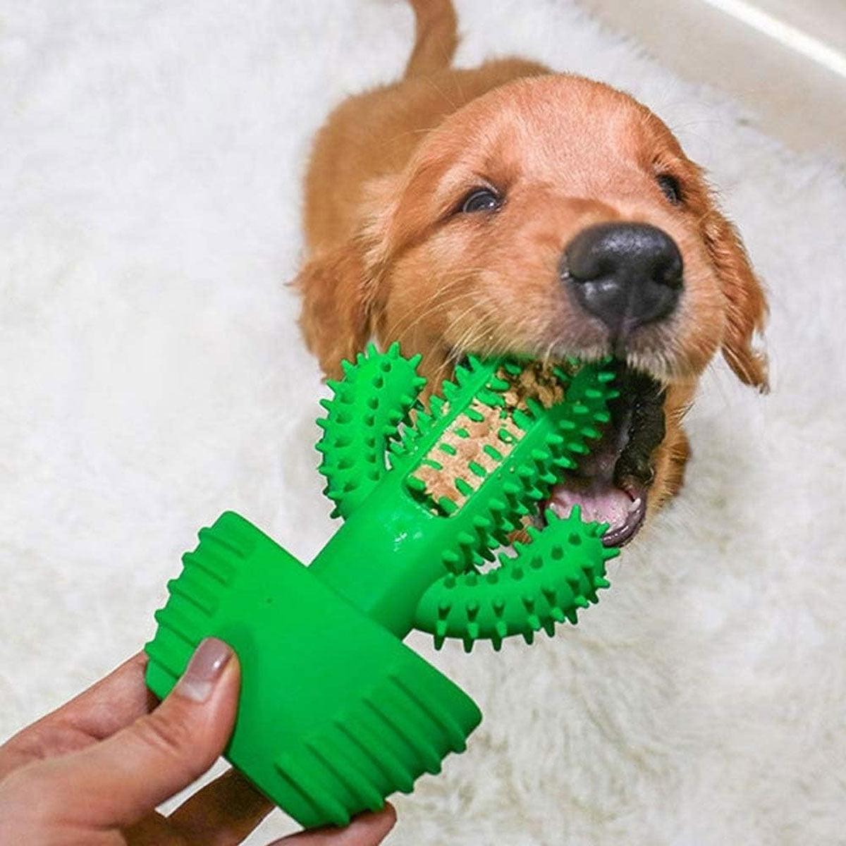 Cactus Shape Dog Chew Toy for Teeth Cleaning and Anxiety Relief